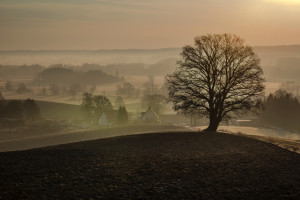 Blick vom Buschelberg
