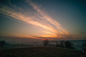 Blick vom Buschelberg
