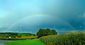 Nach dem Regen