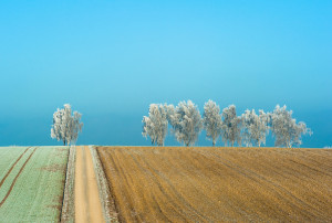 In der Nähe von Aretsried im Winter