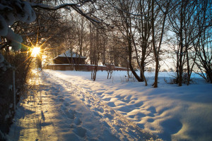 Wintermorgen beim Jüdischen Friedhof