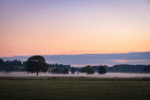 Morgenstimmung bei Heimberg