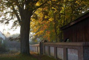 Jüdischer Friedhof in Fischach Herbst